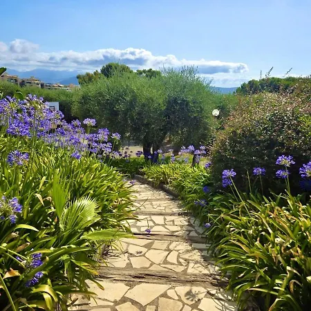 Appartement Grand Lumineux Avec Jardin